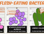 infographic about flesh eating bacteria